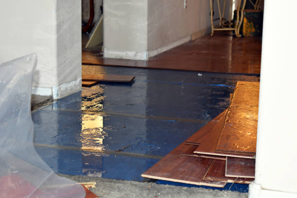 Professional Water Damage Restoration technician working in Guffey, CO